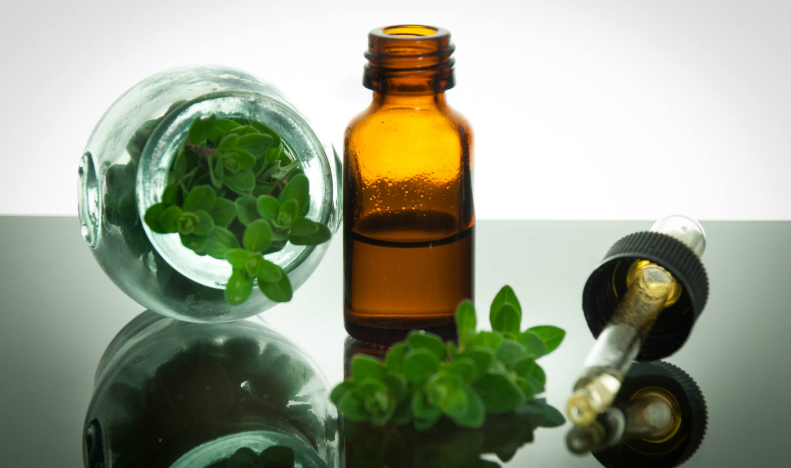 aceite, orégano, oregano, para que sirve, propiedades, medicinal, beneficios